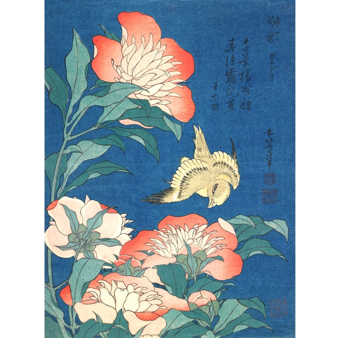 JPF.12 - 300dpi - 4x3 - Peonies & canary - 19th century Japanese woodblock print300 (Aangepast)