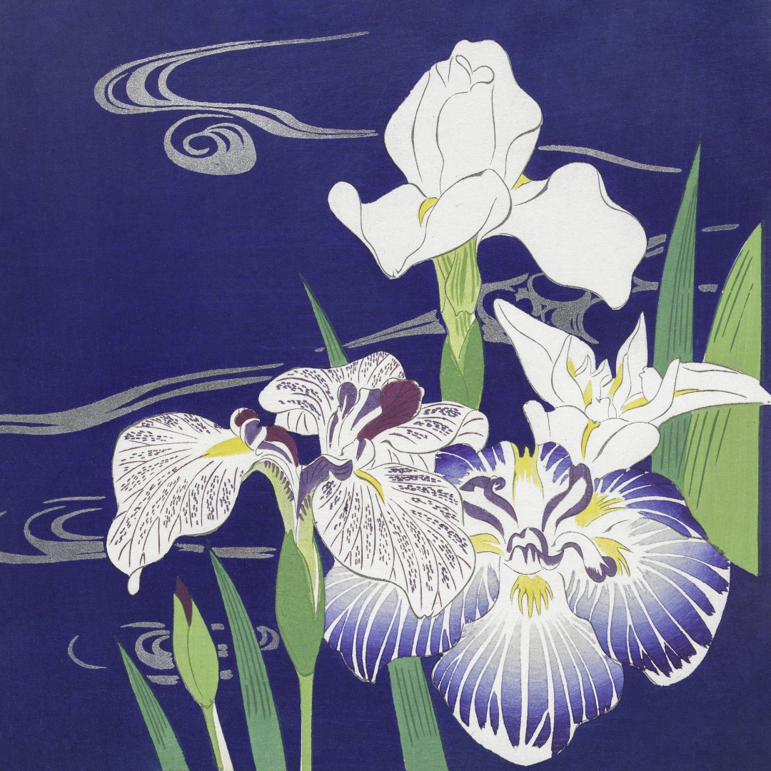 JPF.15 - 1x1 - 300dpi - Iris flower -19th-century woodblock print (Aangepast)