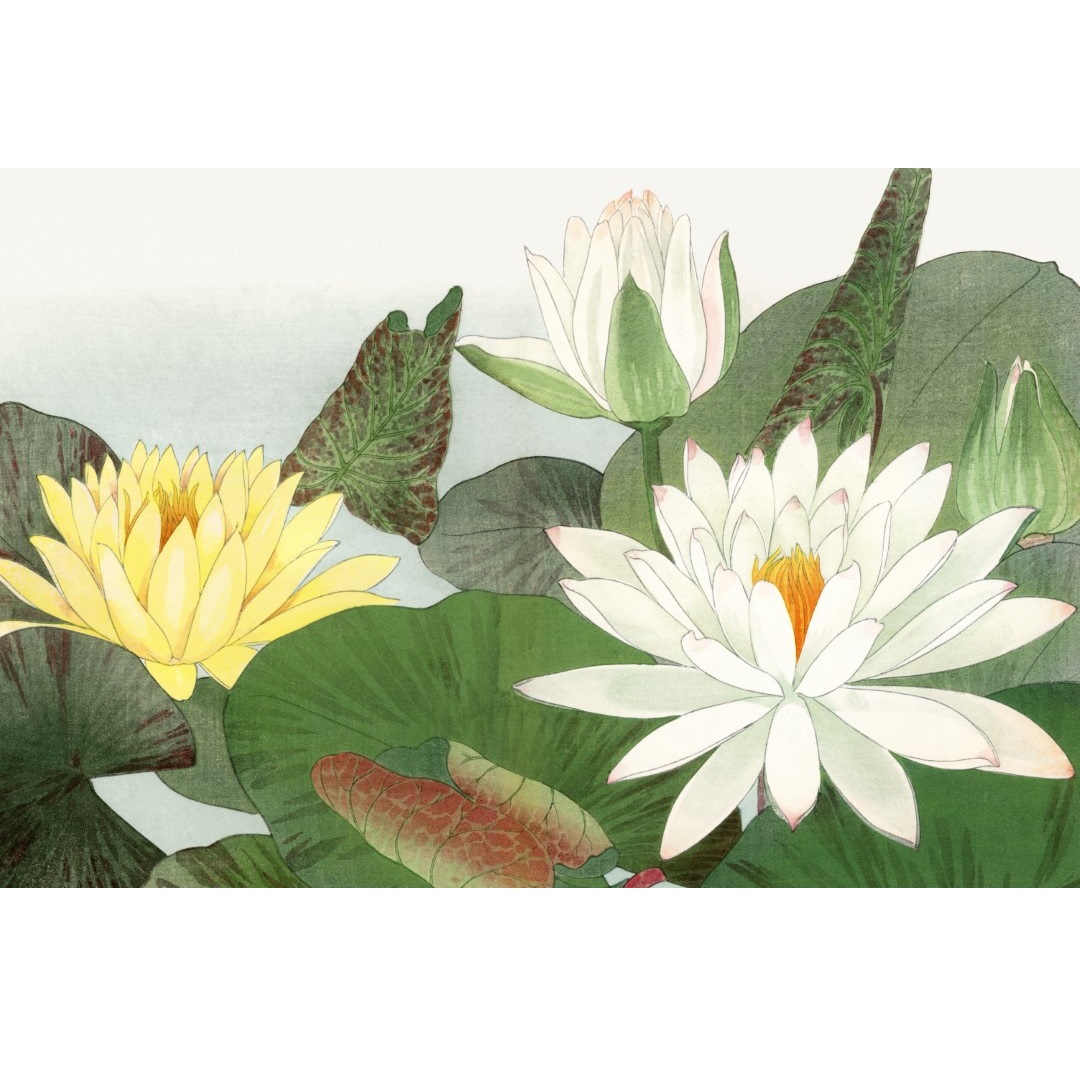 JPF.2 -300dpi -2x3 - Lotus flowers - 19-20th century (Aangepast)