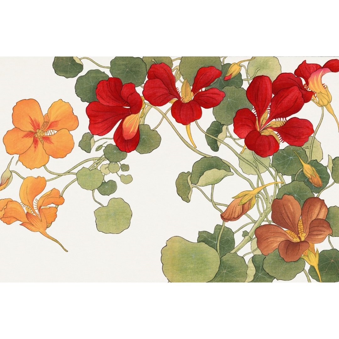 JPF.5 - 300dpi -2x3 - Nasturtium flowers - 19th century woodblock print (Aangepast)