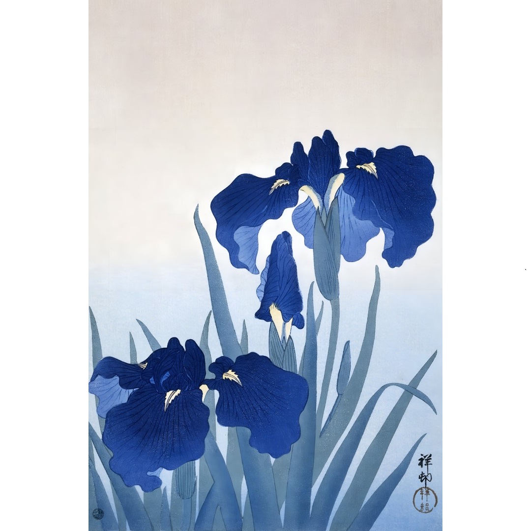 JPF.6 -300dpi -3x2 - Iris flowers - Earley 20th centutry woodblock print300 (Aangepast)