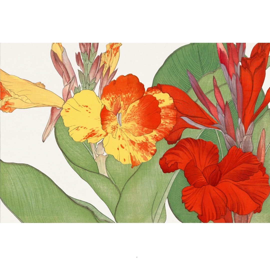 JPF.7 - 300dpi - 2x3 - Canna flower - 19th century (Aangepast)
